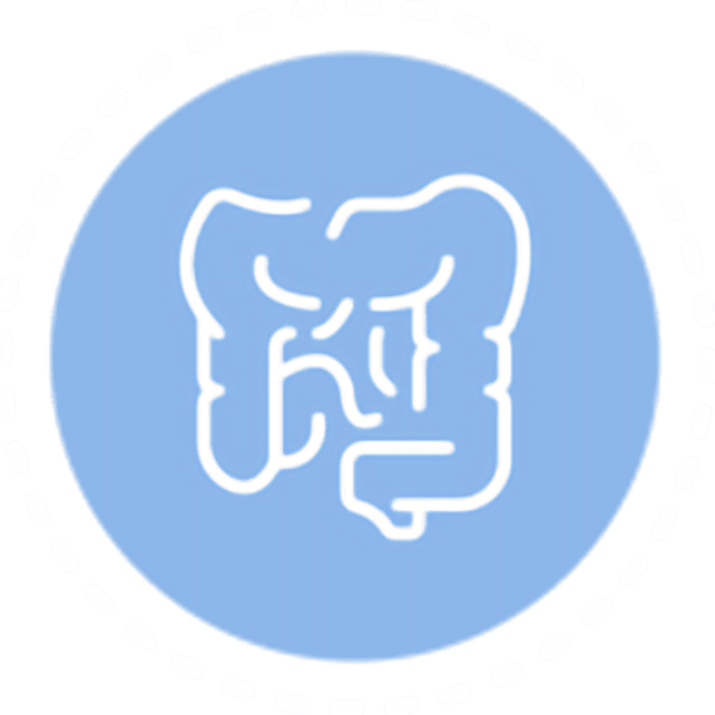intestine
