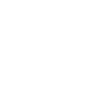 brain