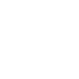 gut